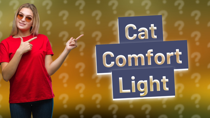 Cat Comfort Light