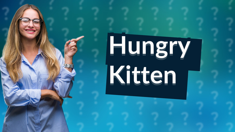 Hungry Kitten