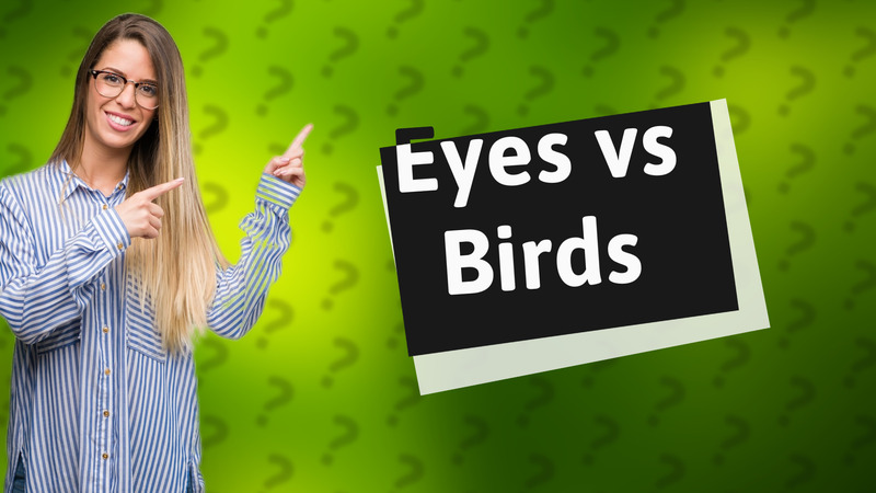 Eyes vs Birds
