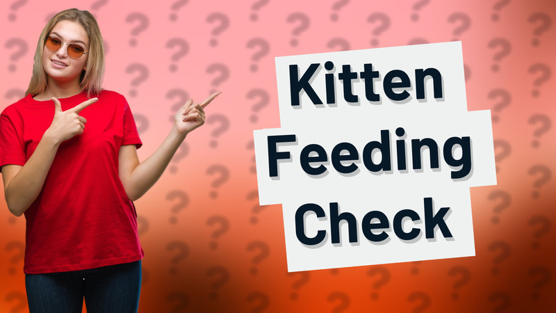 Kitten Feeding Check