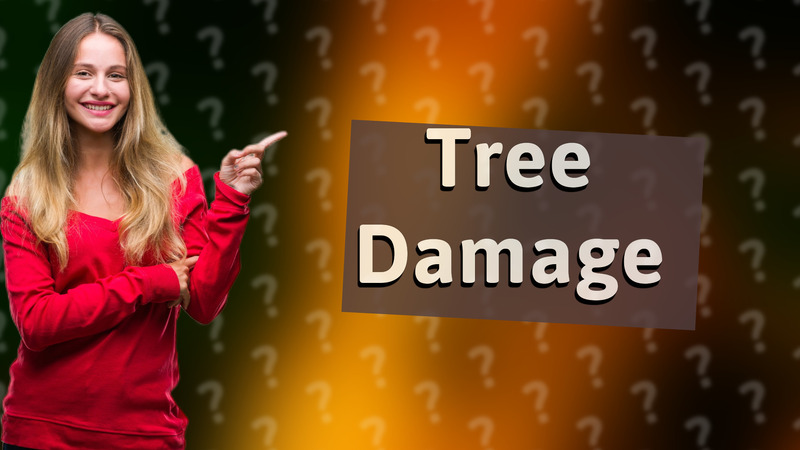 Tree Damage