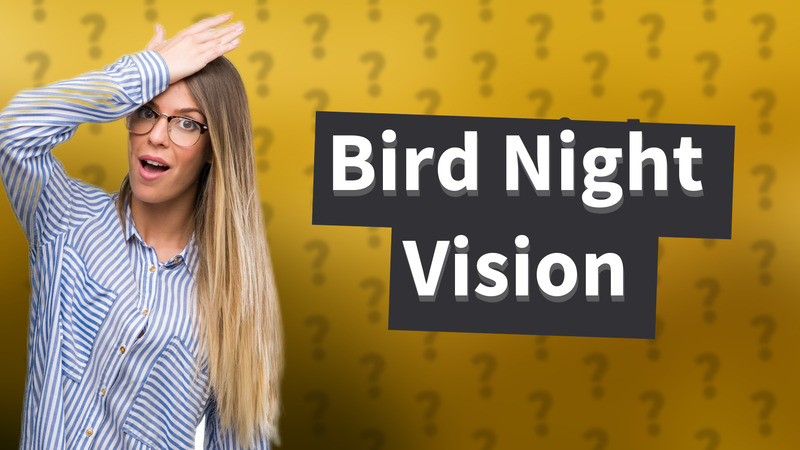 Bird Night Vision