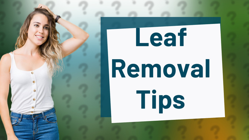 Leaf Removal Tips