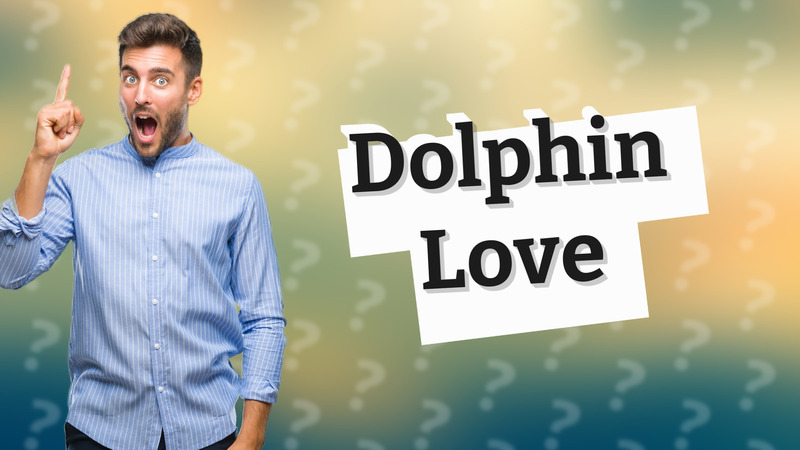 Dolphin Love