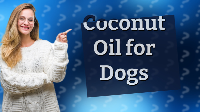 Coconut Oil for Dogs