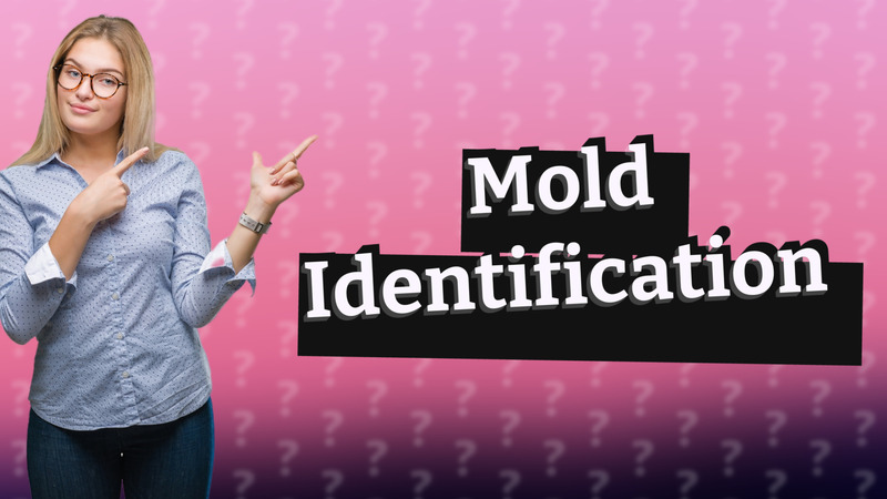 Mold Identification