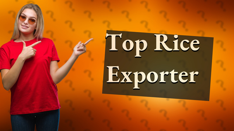 Top Rice Exporter