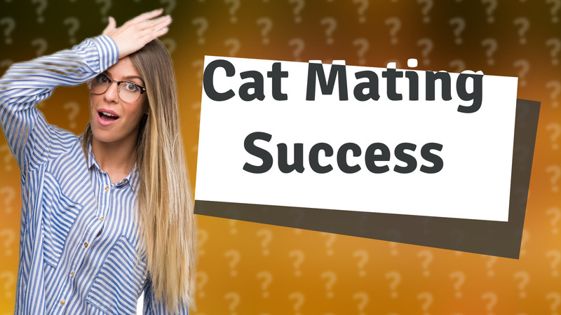 Cat Mating Success