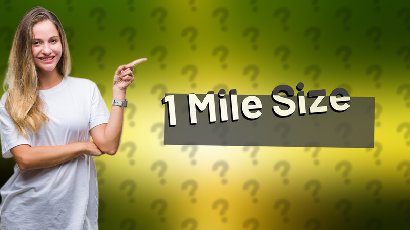 1 Mile Size