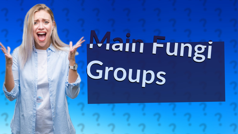 Main Fungi Groups