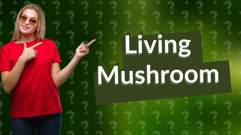 Living Mushroom