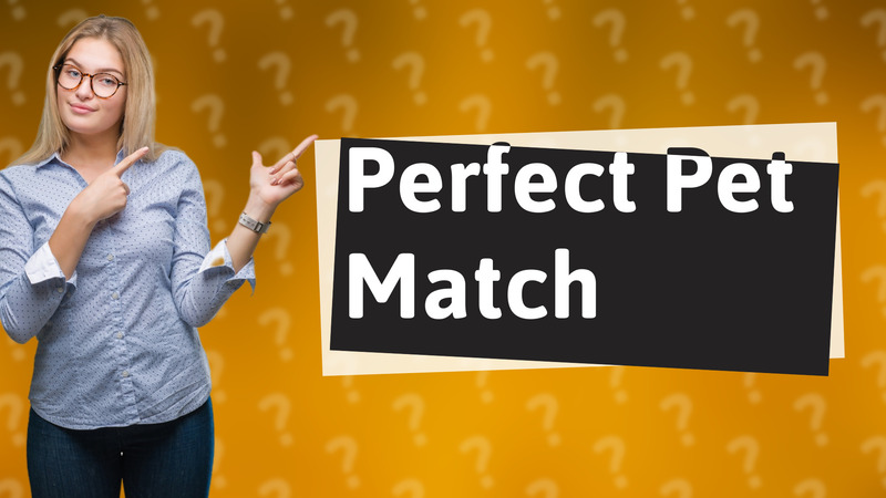 Perfect Pet Match