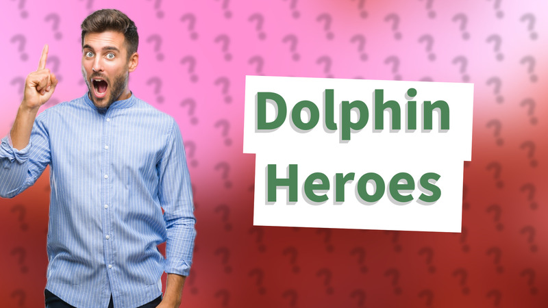 Dolphin Heroes