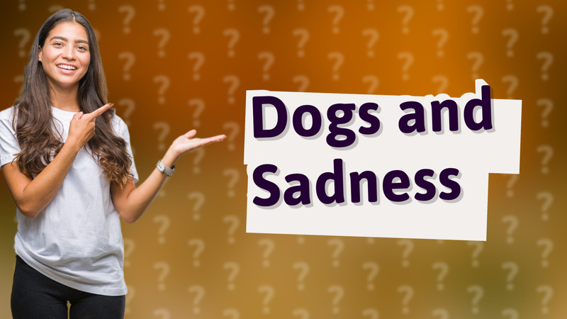 Dogs and Sadness