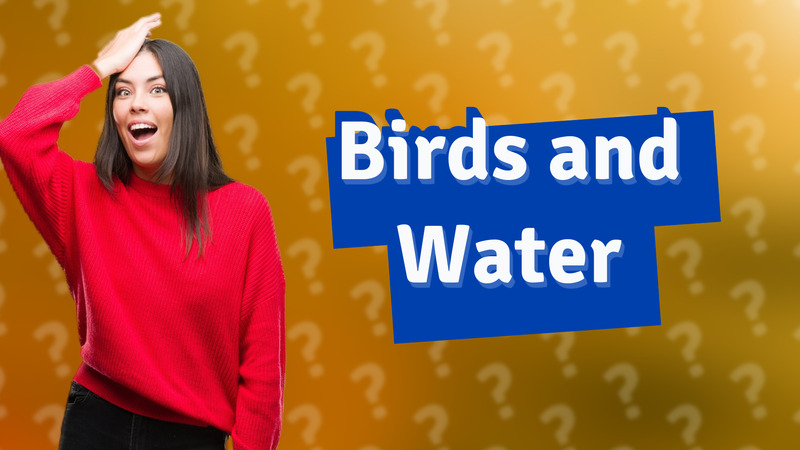Birds and Water