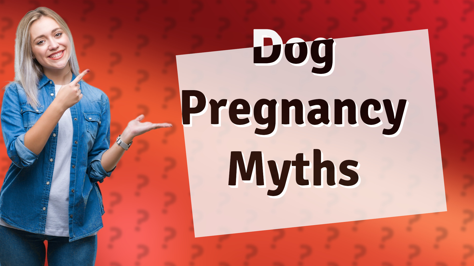 Dog Pregnancy Myths
