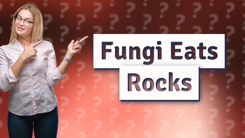 Fungi Eats Rocks