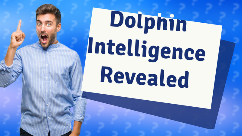 Dolphin Intelligence Revealed