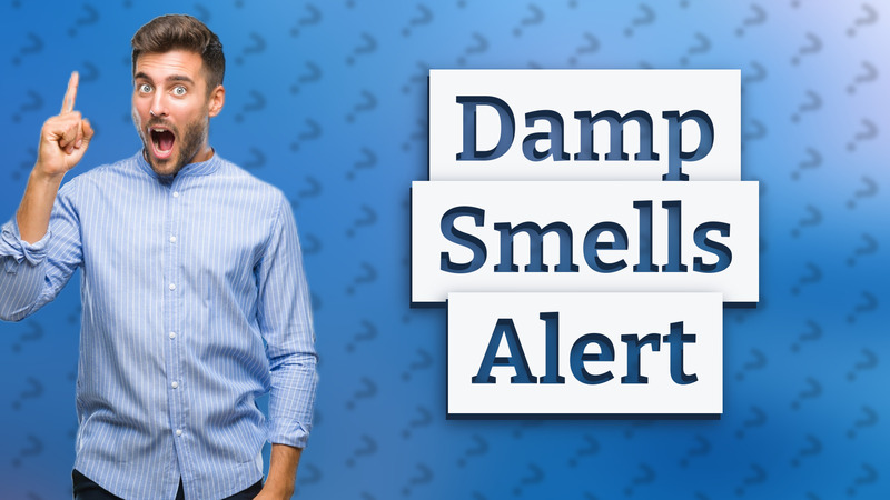 Damp Smells Alert