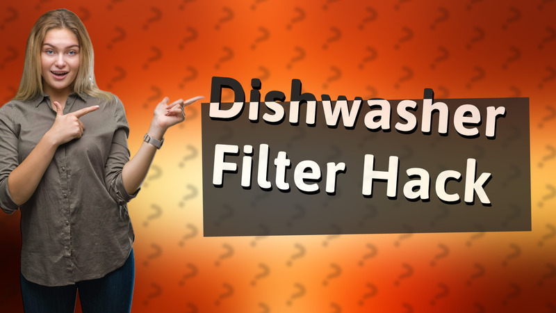 Dishwasher Filter Hack