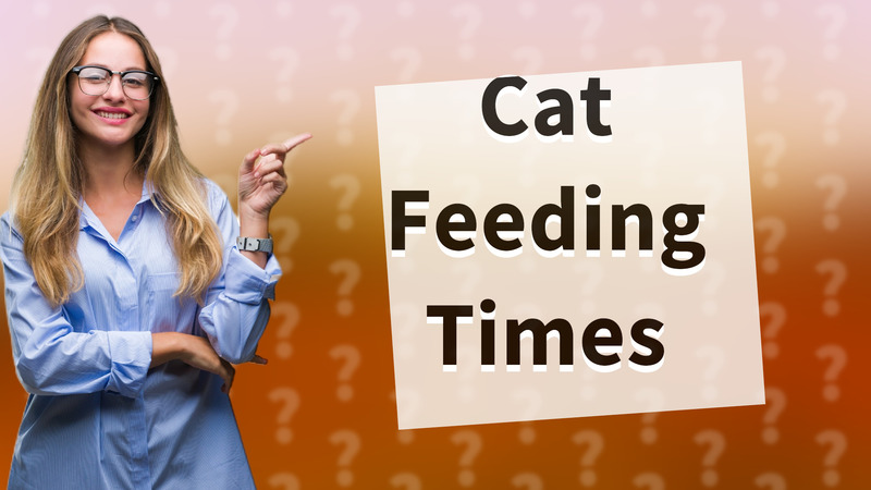 Cat Feeding Times