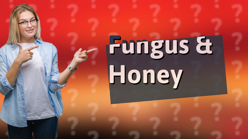 Fungus & Honey