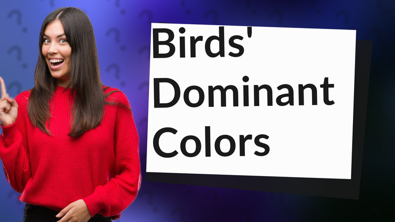 Birds' Dominant Colors