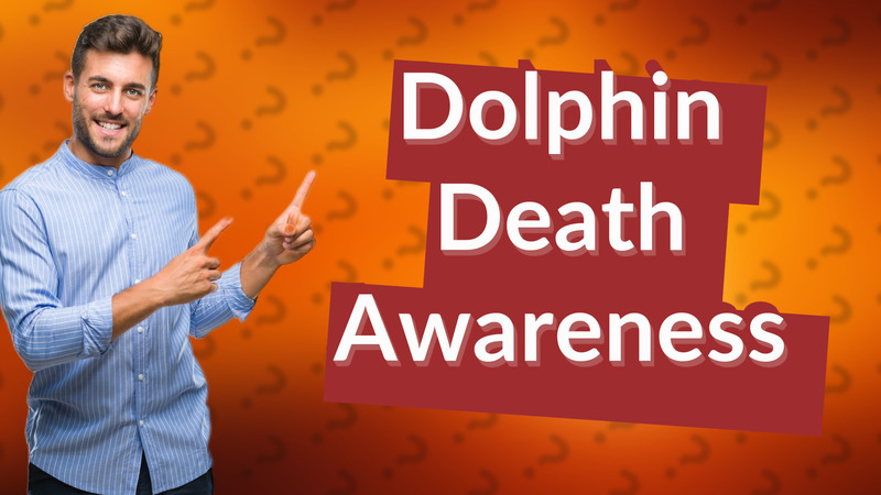 Dolphin Death Awareness