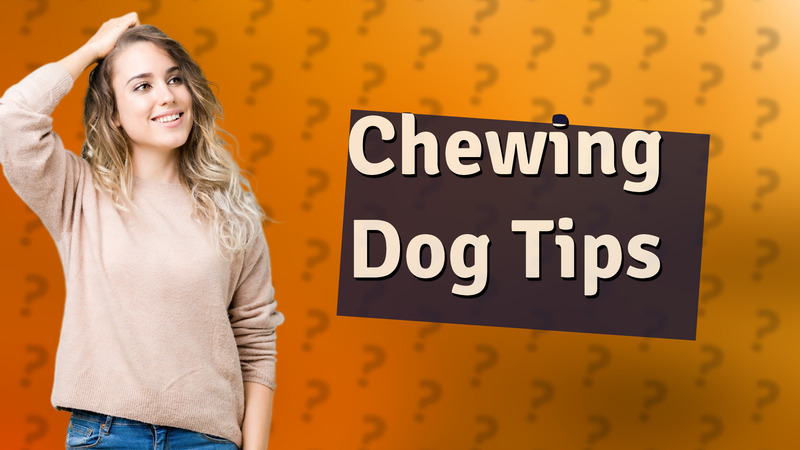 Chewing Dog Tips