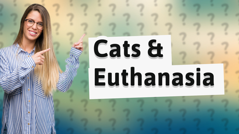 Cats & Euthanasia