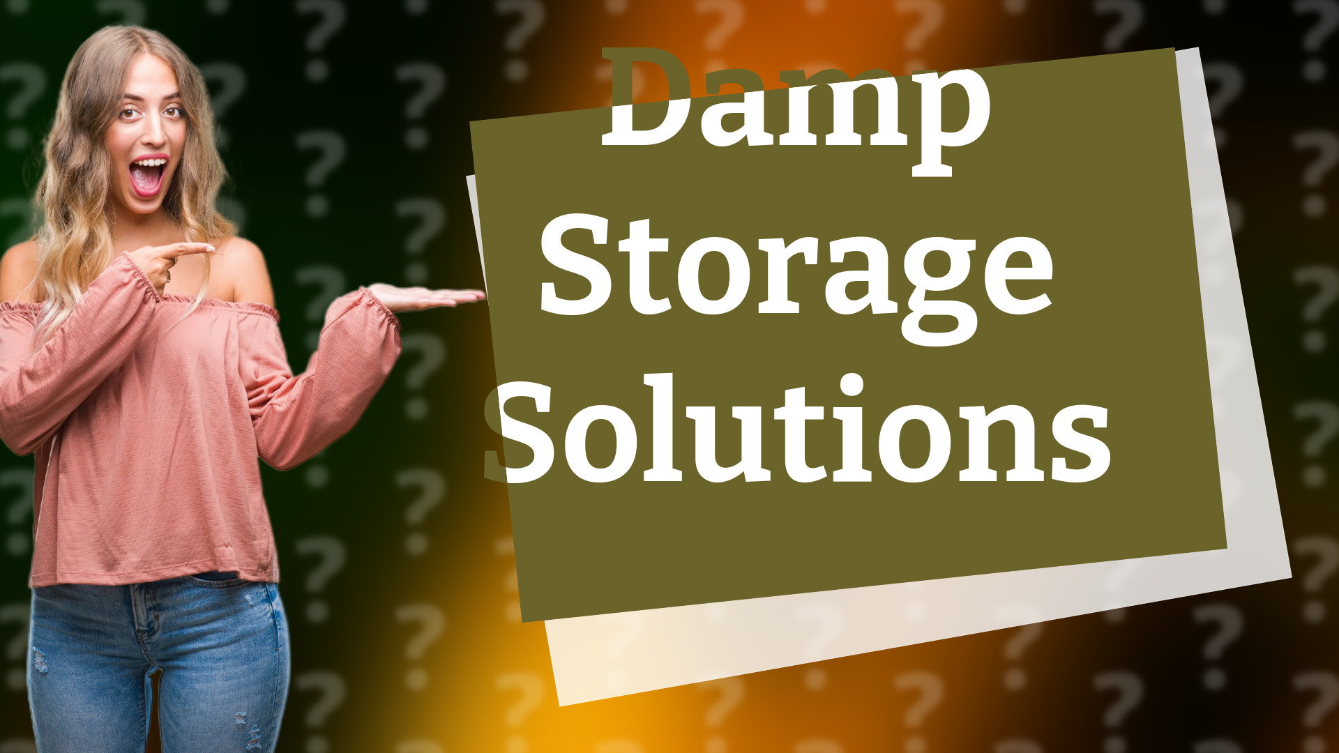 Damp Storage Solutions