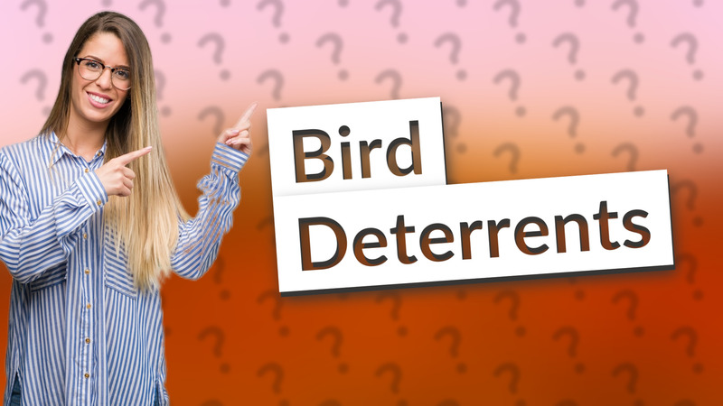 Bird Deterrents