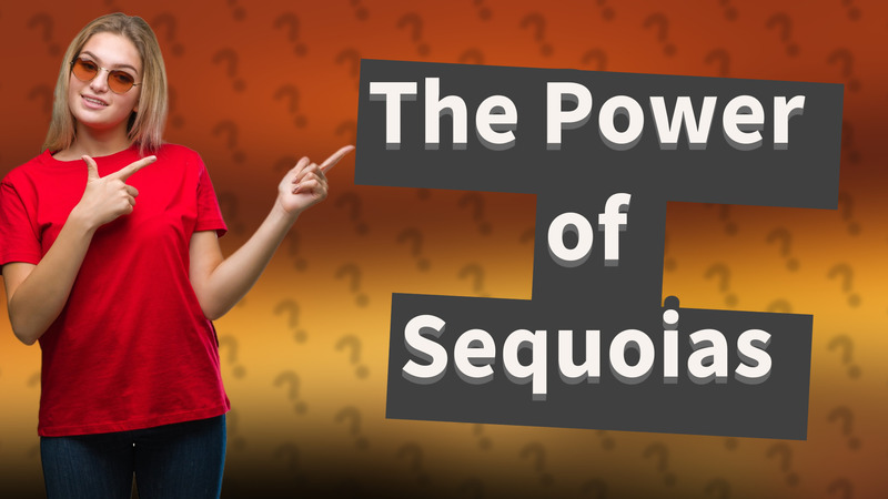 The Power of Sequoias