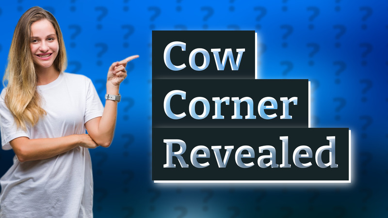 Cow Corner Revealed