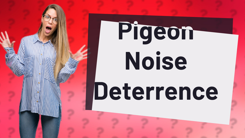 Pigeon Noise Deterrence