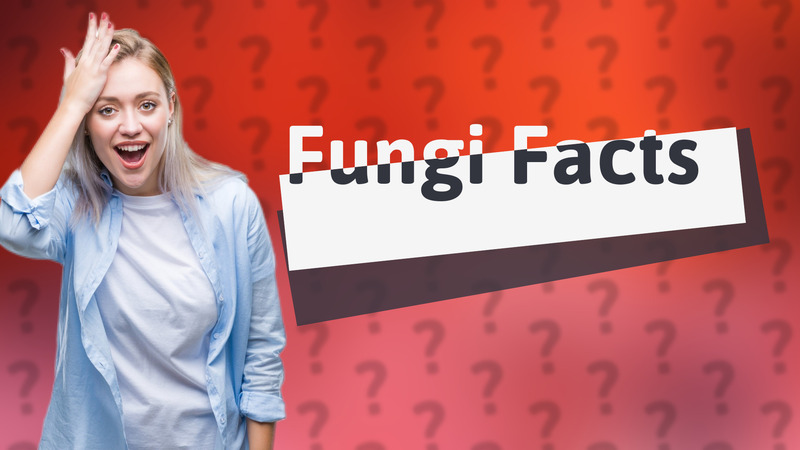 Fungi Facts