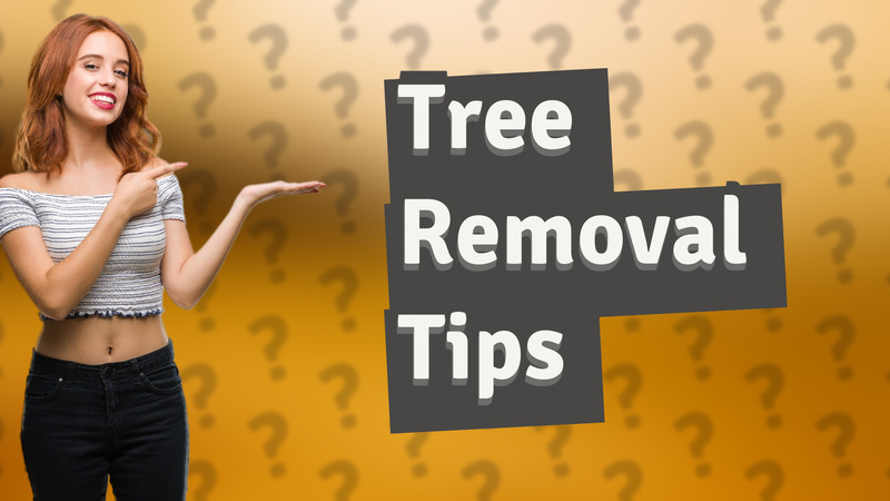 Tree Removal Tips