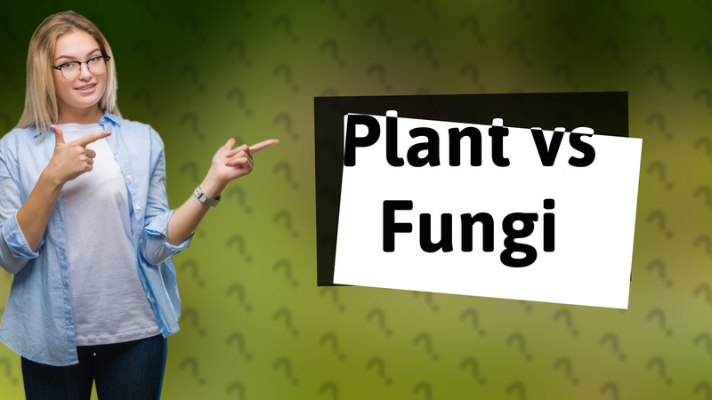 Plant vs Fungi
