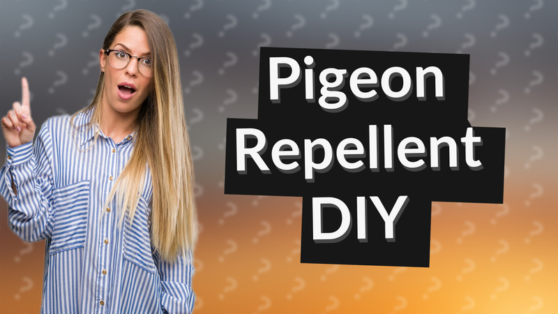 Pigeon Repellent DIY