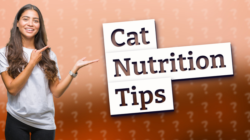 Cat Nutrition Tips