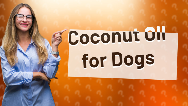 Coconut Oil for Dogs
