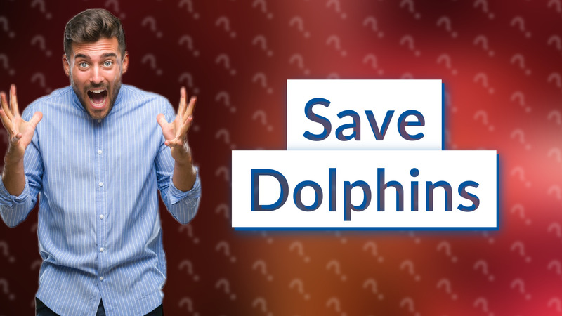 Save Dolphins