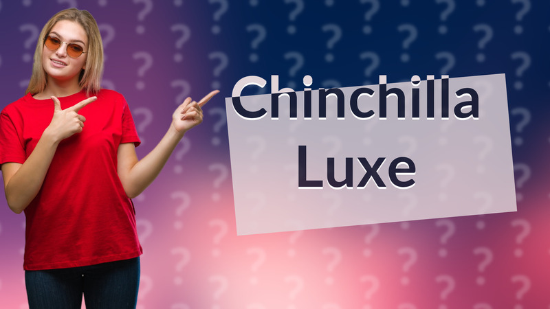 Chinchilla Luxe