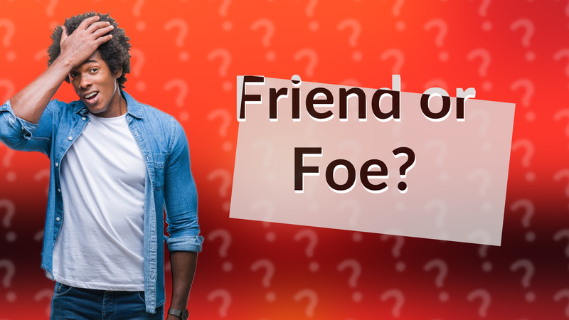 Friend or Foe?