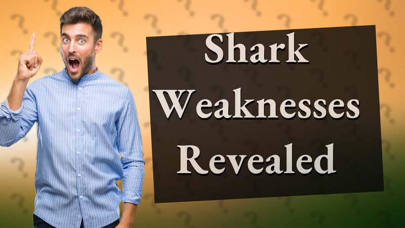 Shark Weaknesses Revealed