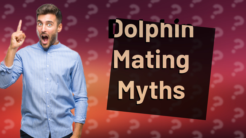 Dolphin Mating Myths