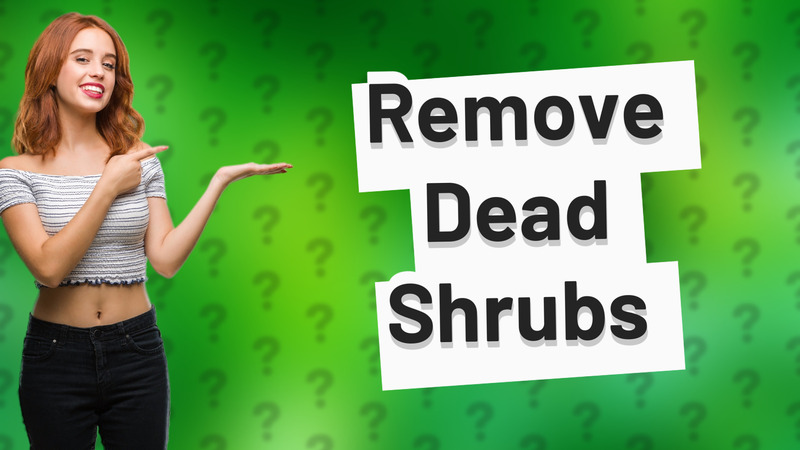 Remove Dead Shrubs