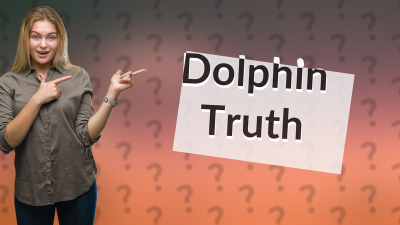 Dolphin Truth