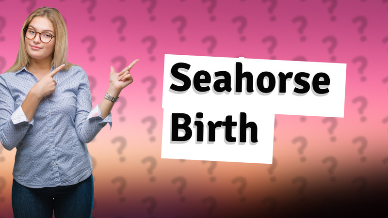 Seahorse Birth