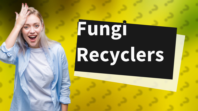 Fungi Recyclers